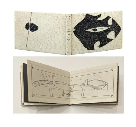 Иллюстрированная Книга Dali - ME PUDRE MI AGONIA