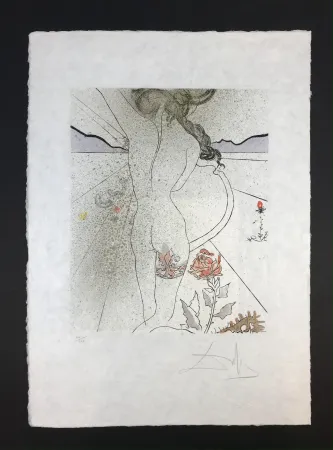 Многоэкземплярное Произведение Dali - Nu à la jarretiére ( Nude with Garter )