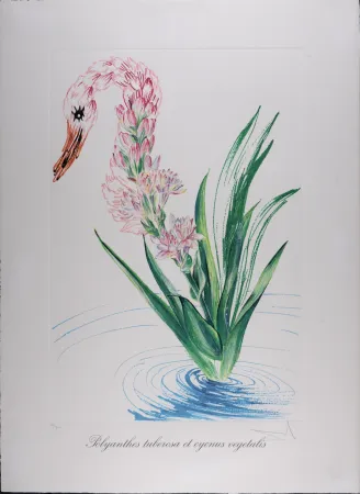 Фототипия Dali - Polyanthes tyberosa et cygnus vegetalis