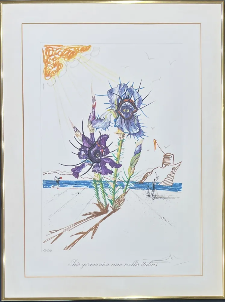 Гравюра Сухой Иглой Dali - Salvador Dalí (1904–1989) - Coloured drypoint etching on heliogravures - 1972