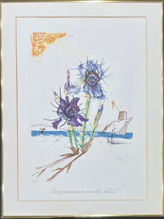 Гравюра Сухой Иглой Dali - Salvador Dalí (1904–1989) - Coloured drypoint etching on heliogravures - 1972