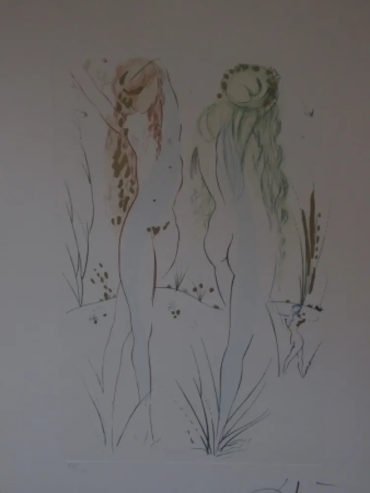 Офорт И Аквитанта Dali - Sans titre