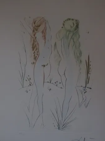 Офорт И Аквитанта Dali - Sans titre