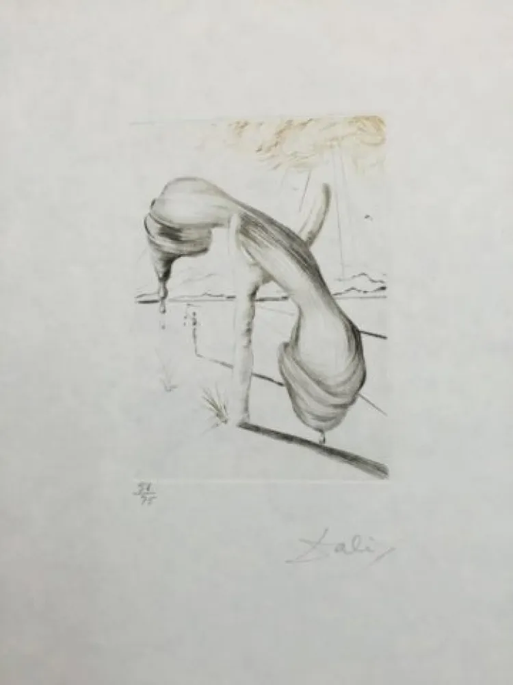 Гравюра Сухой Иглой Dali - Teléphone Mou