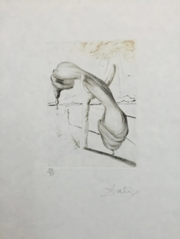 Офорт И Аквитанта Dali - Telephone mou