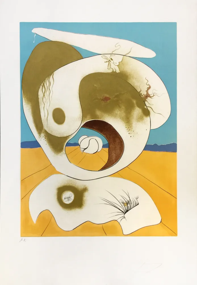 Гравюра Dali - VISION PLANETAIRE ET SCATOLOGIC