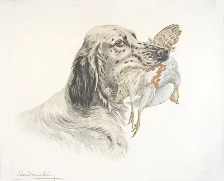Офорт Danchin - 49 Setter et Perdrix - English Setter and Partridge (Original)