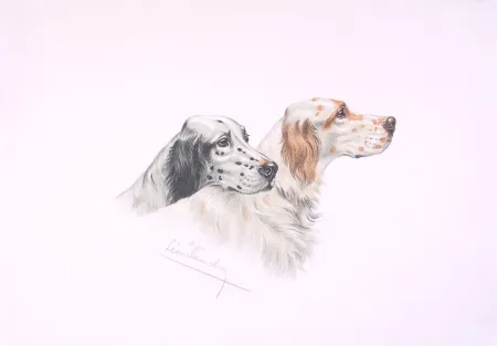 Литография Danchin - Deux têtes de Setters - Two Setters heads (Original)