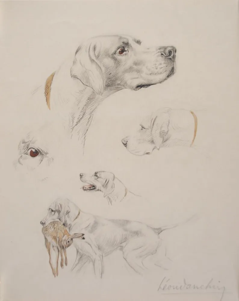 Нет Никаких Технических Danchin - Etude de pointer