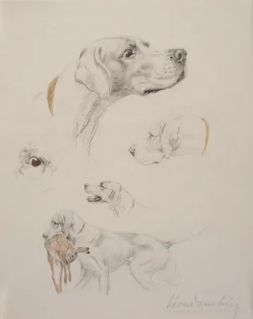 Нет Никаких Технических Danchin - Etude de pointer