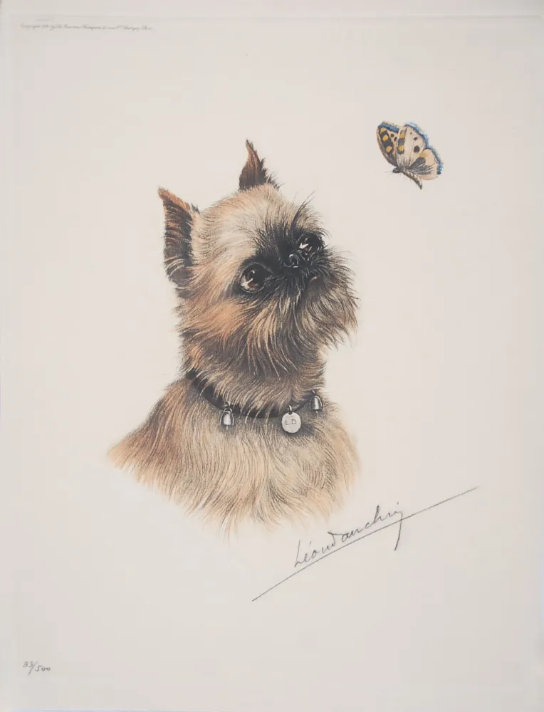 Офорт Danchin - Griffon Bruxellois et papillon - Brussel Griffon and butterfly