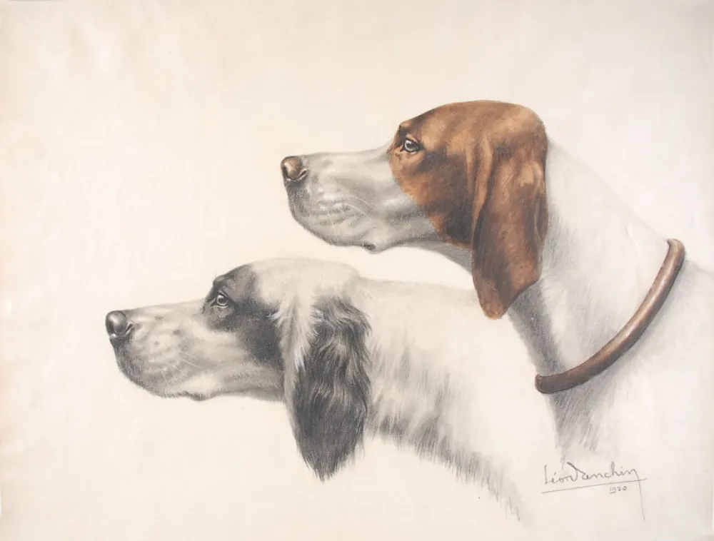 Нет Никаких Технических Danchin - Setter Anglais et Braque Français