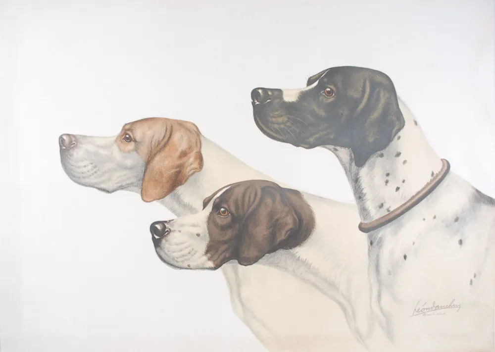 Литография Danchin - Three Pointer head - Trois têtes de Pointer (Original)