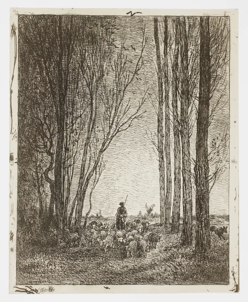 Нет Никаких Технических Daubigny - La Rentrée du Troupeau (Return of the Flock)