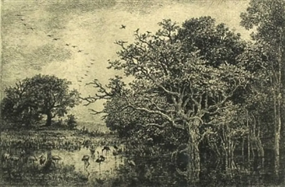 Гравюра Daubigny - Le marais aux cigognes