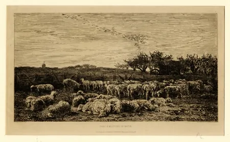 Гравюра Daubigny - Parc à moutons:  le matin, in 