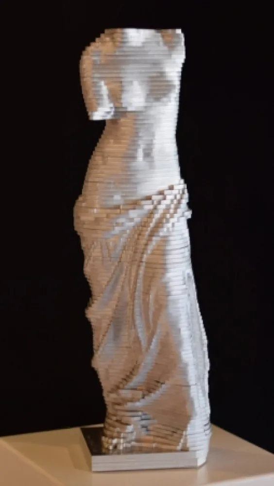 Нет Никаких Технических David - Small Vénus