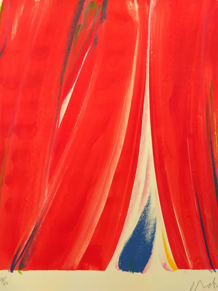 Литография Debré - 56/60