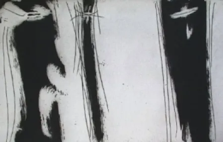 Иллюстрированная Книга Debré - Bâtir à chaud et à sable