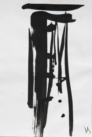 Нет Никаких Технических Debré - Signe 1