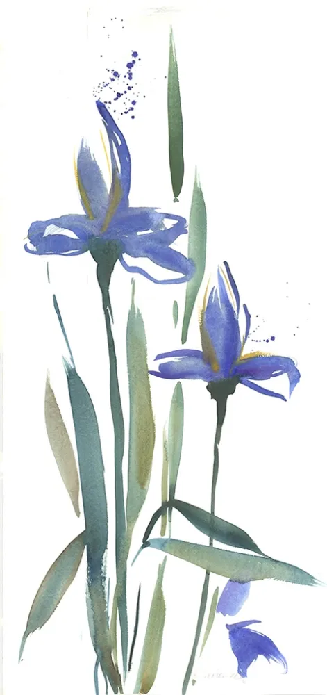 Нет Никаких Технических Decker-Kern - Iris