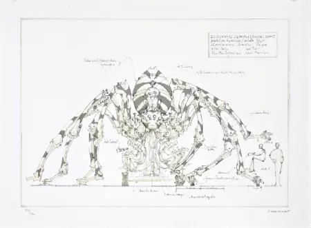 Литография Delarozière - L'araignée géante