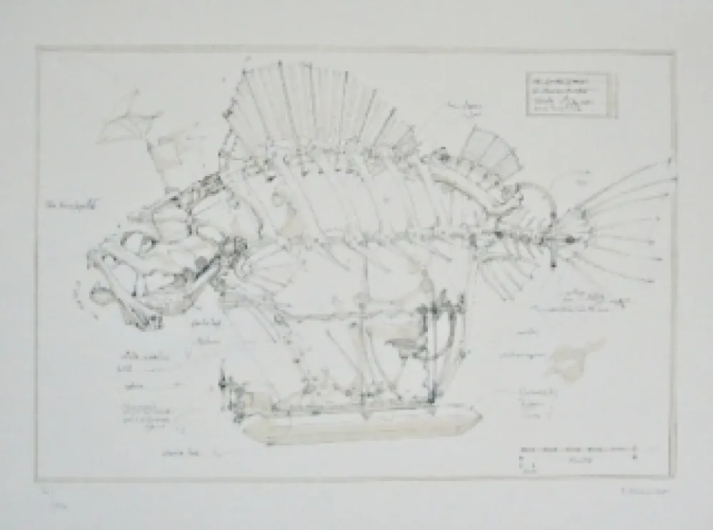 Литография Delarozière - Le Poisson Pirate