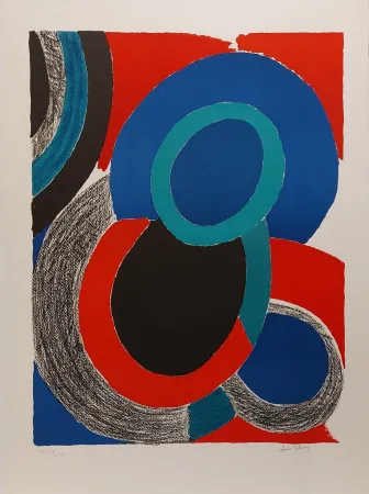 Литография Delaunay - Vol de nuit 