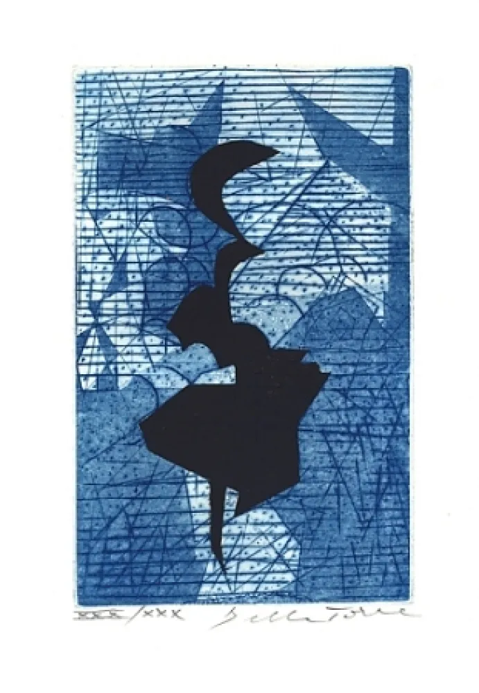 Иллюстрированная Книга Della Torre - Sui bordi dell'impossibile