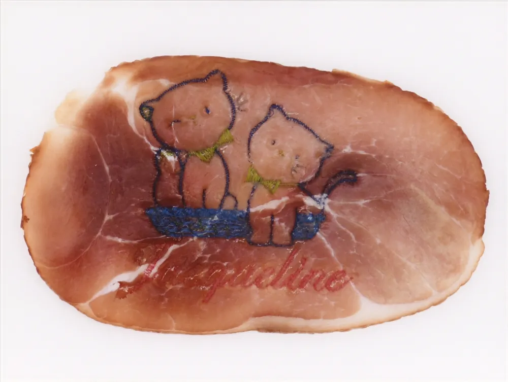 Фотографии Delvoye - Untitled 02 (Photograph of Embroidered Ham) (
