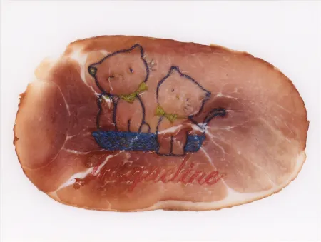 Фотографии Delvoye - Untitled 02 (Photograph of Embroidered Ham) (