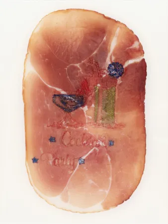 Фотографии Delvoye - Untitled (Photograph of Embroidered Ham)