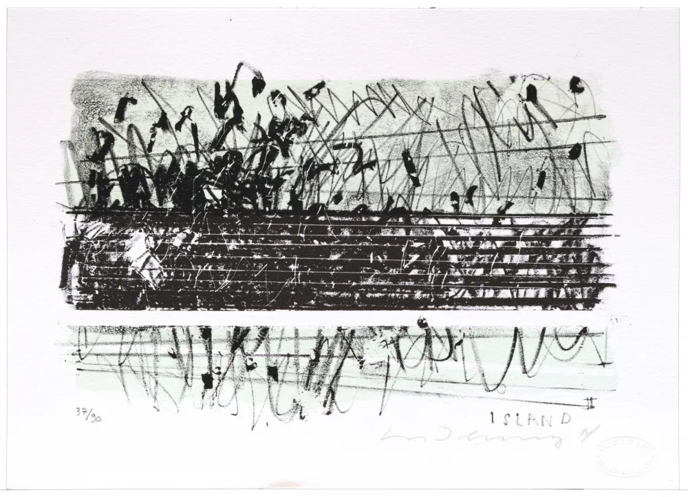 Литография Denning - Islande II