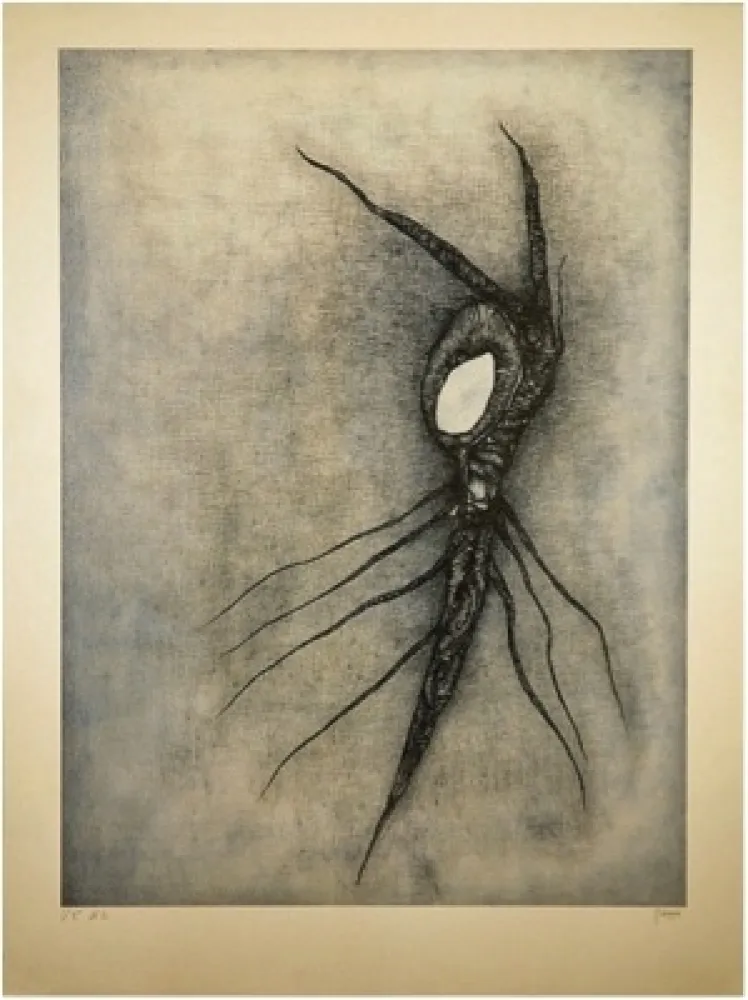 Литография Deux - La Vingtième racine cosmique