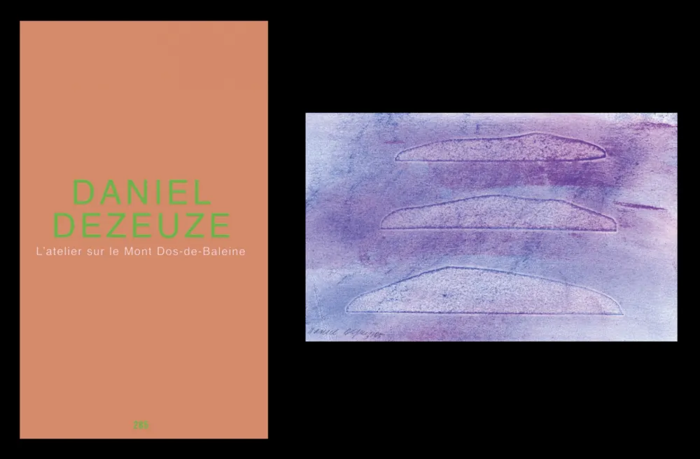 Иллюстрированная Книга Dezeuze - L'art en écrit 