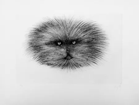 Гравюра Сухой Иглой D'ho - Chat gris