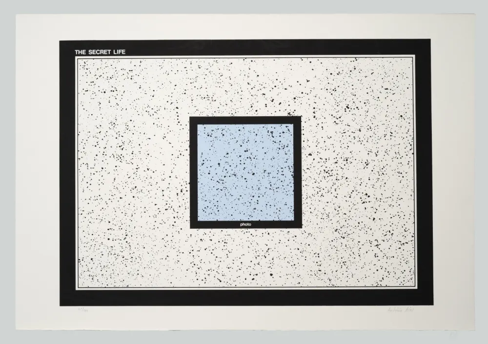 Сериграфия Dias - The secret life