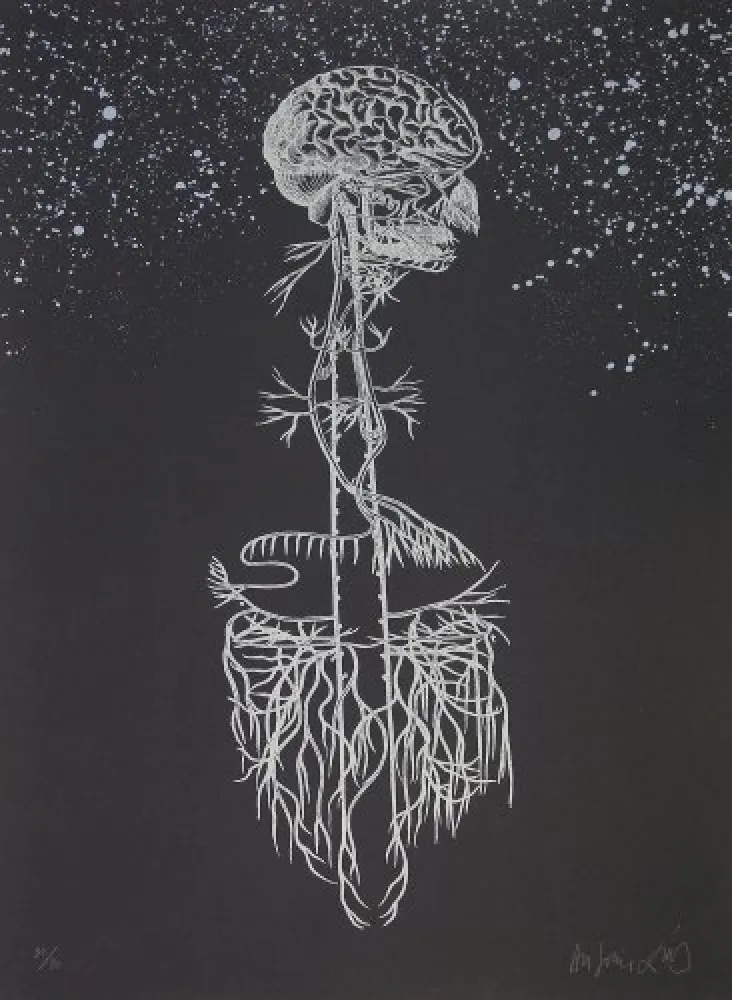 Литография Diaz - Navegador