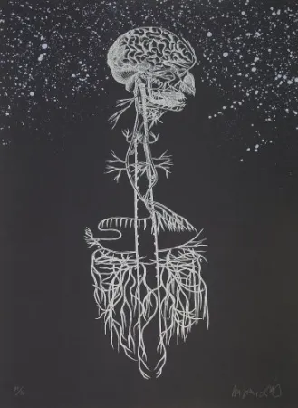 Литография Diaz - Navegador