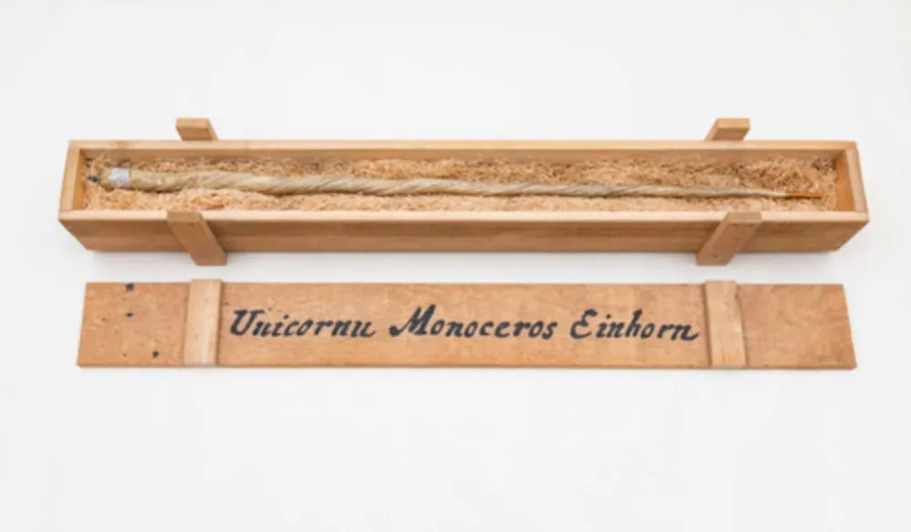 Многоэкземплярное Произведение Dion - My Most Priceless Treasure (unicorn)