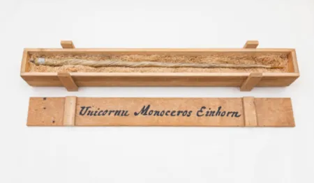 Многоэкземплярное Произведение Dion - My Most Priceless Treasure (unicorn)