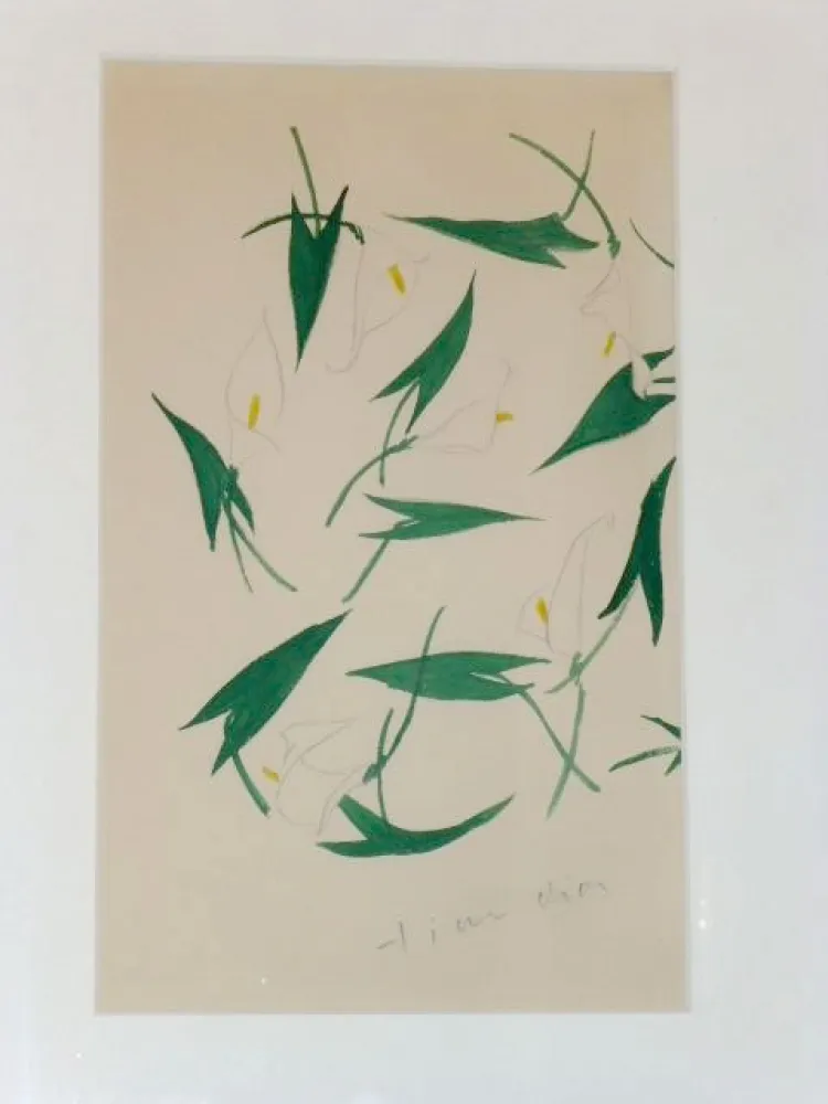 Нет Никаких Технических Dior - Les arums