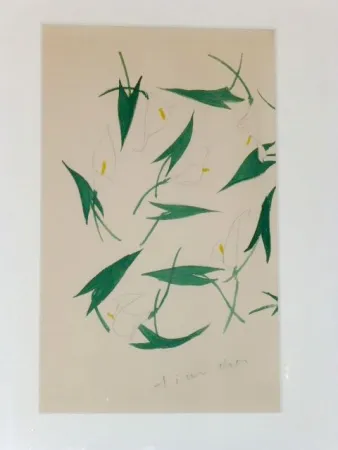 Нет Никаких Технических Dior - Les arums