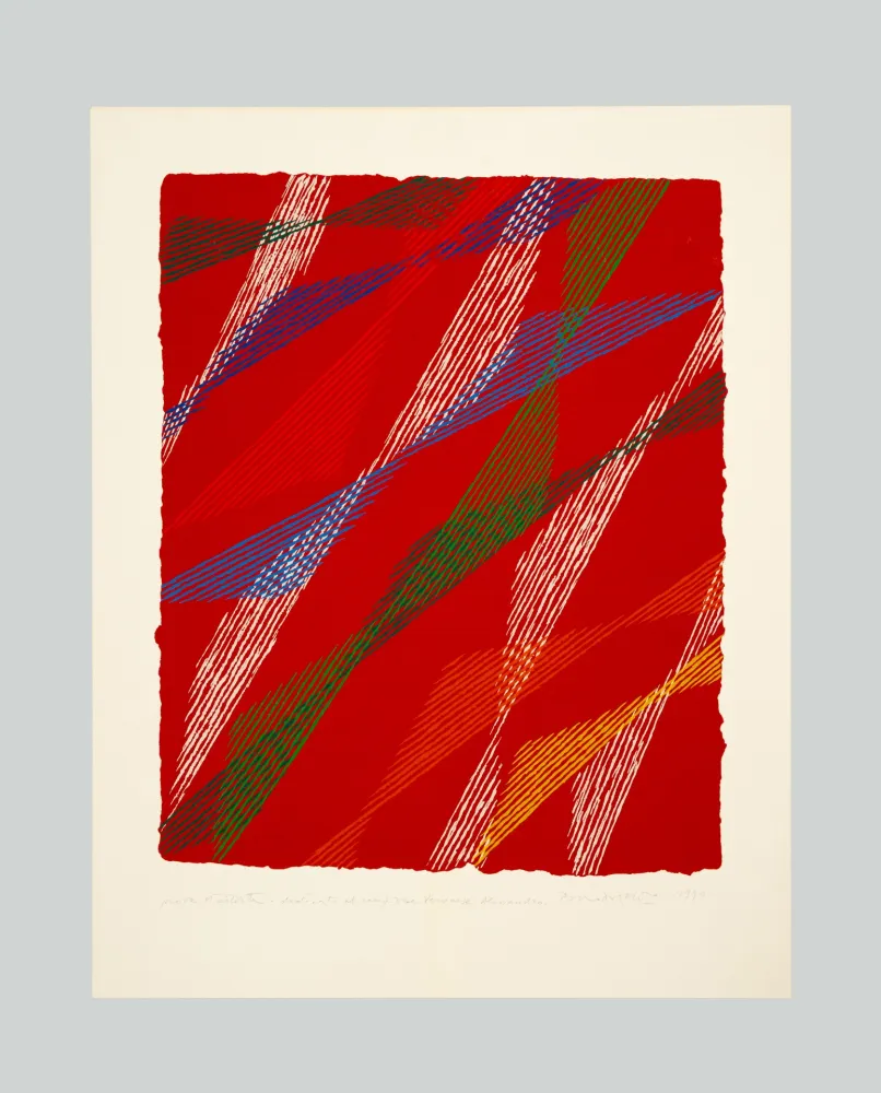 Сериграфия Dorazio - Composizione