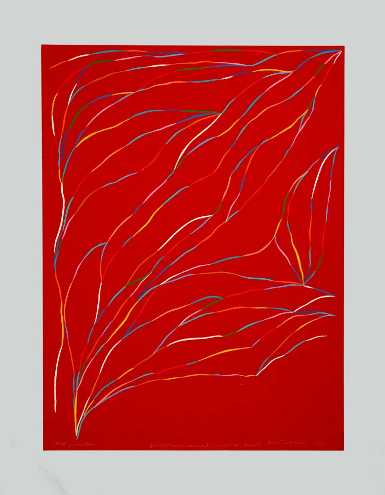 Сериграфия Dorazio - Composizione