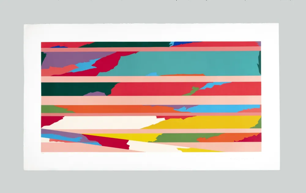 Сериграфия Dorazio - Composizione