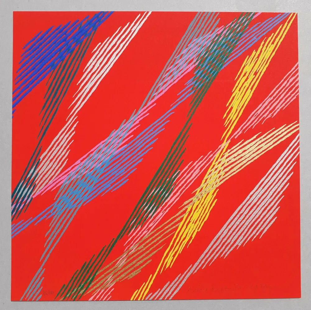 Сериграфия Dorazio - Composizione B