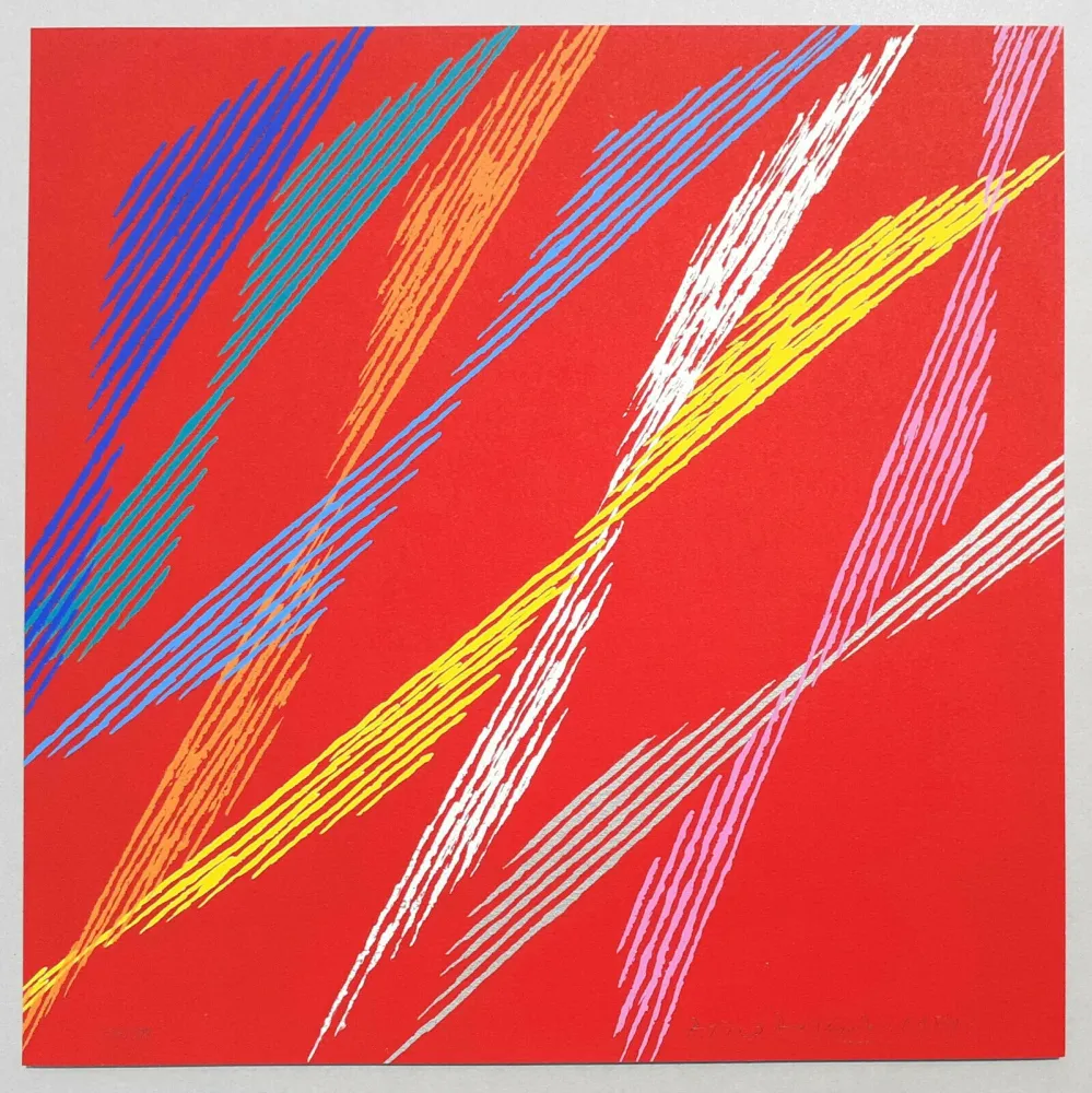 Сериграфия Dorazio - Composizione C