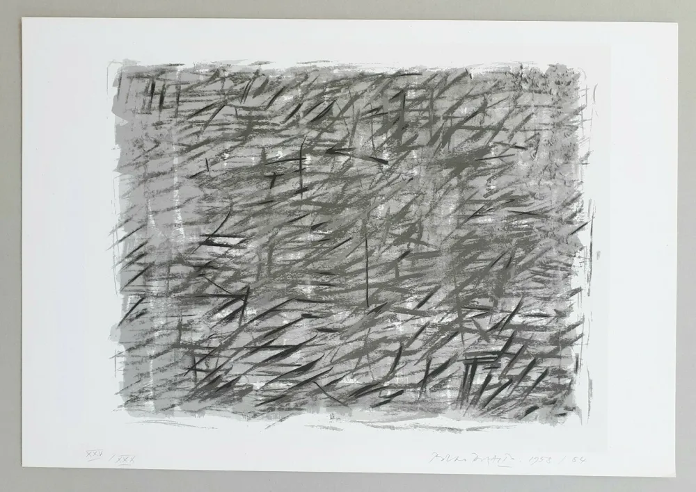 Сериграфия Dorazio - Disegno