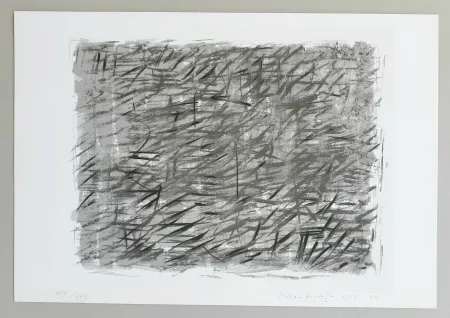 Сериграфия Dorazio - Disegno